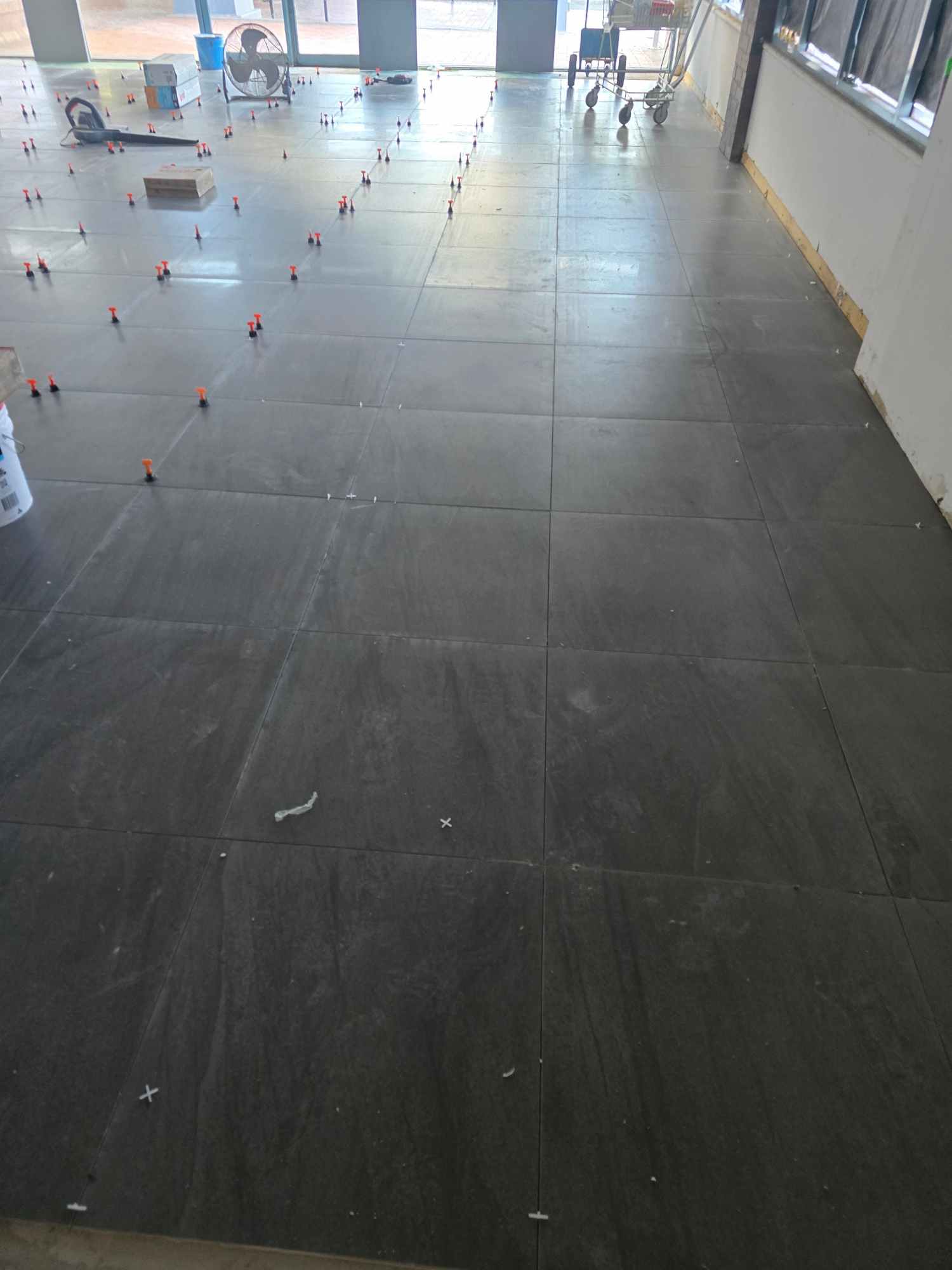 Professional Tiler near Campsie